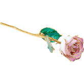 24K Solid Gold Rose- Cream Picasso